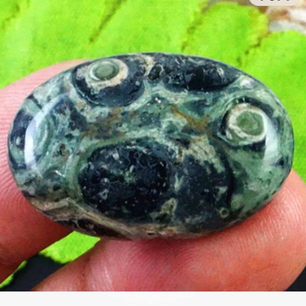 GREEN EYE KAMBABA JASPER STROMATOLITE Oval Healing Palm Stone Green Black